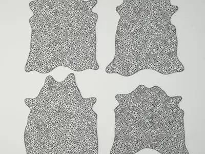 Rugs 3 cowhide rug 3D model