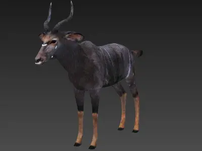 antelope Low-poly 3D model