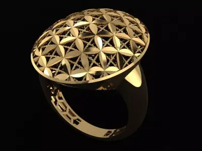  Minimalist Turkish Ring 3D print model