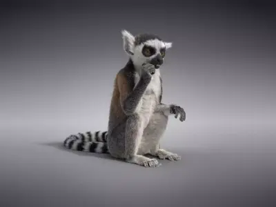 Young Lemurs Animation - VFX Grace 3D model
