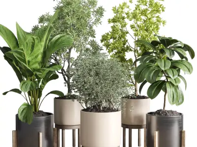 collection Indoor plant 48 vase wood 3D model