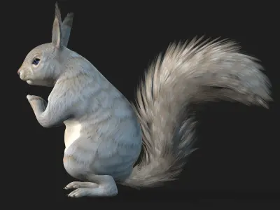 Squirrel-A2 3D model