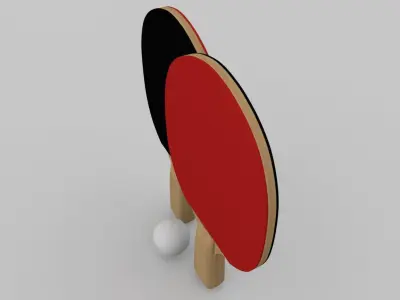 Ping Pong Paddle 3D model