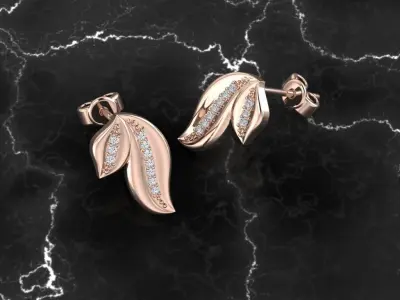 Jewelry Earring 3D print model