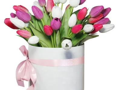 Flower Set 21 - Pink and White Tulips Bouquet 3D model