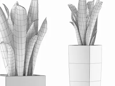 Plants Collection 100 3D model