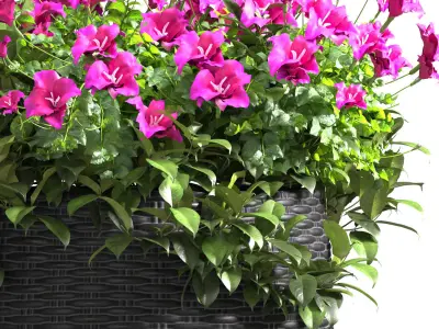 Flowers in a rattan garden pot for decoration in Provence style 3D model