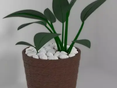 Indoor Decorative Plants Collection 3D model