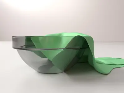 Cloth In Bowl 3D model