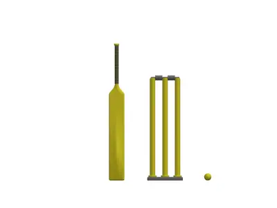 Modern Minimalistic Indoor Cricket Set 3D print model