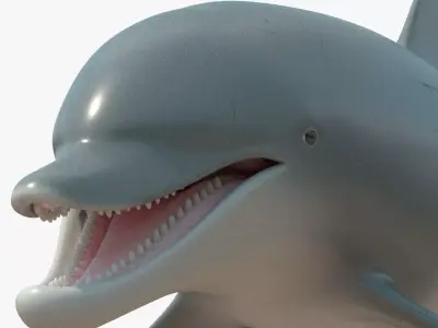 4K Textures Dolphin No Rigging Low-poly 3D model