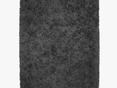 Mayson Black Rug 3D model