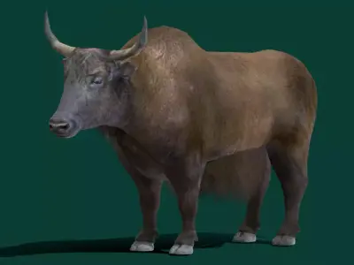 Domestic Yak Animals Low-poly 3D model