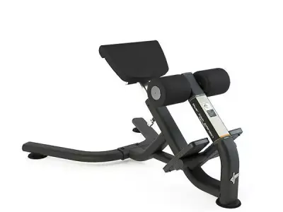 LOWER BACK EXTENSION BENCH Free 3D model