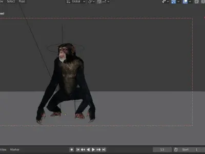 chimp rigged and animated  3D model