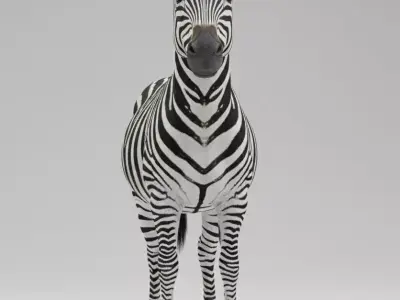 A Majestic Zebra 3D model
