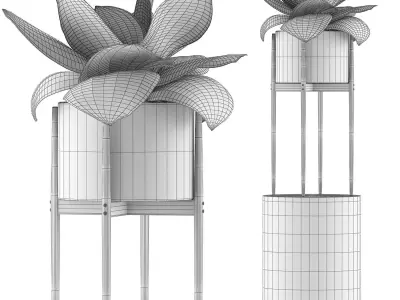 Plants Collection 85 3D model