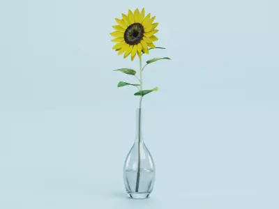 Sunflower in Glass Vase 3D model