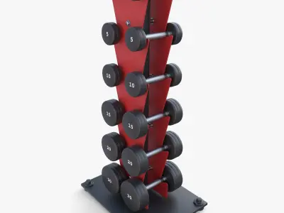 Vertical dumbbell rack 3D model