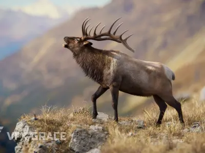 Male Elk Animated VFX Grace 3D model