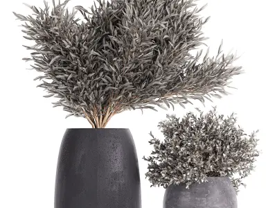 Olive trees in a black flowerpots 812 3D model