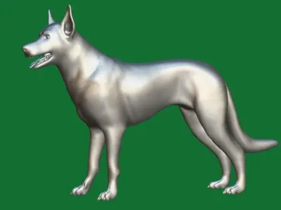 Australian Kelpie Dog 3D model