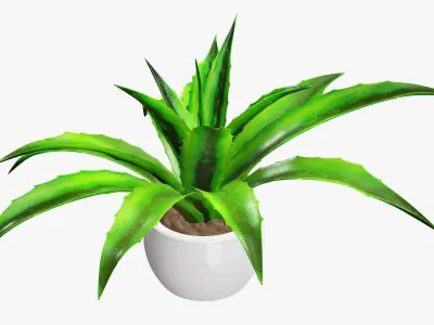 Potted plant decorative 04 3D model
