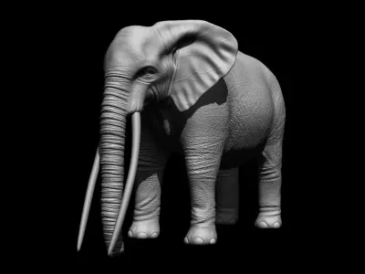 Realistic Elephant 3D model