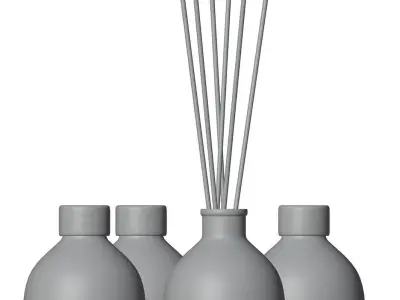 Air reed diffuser HG2 3D model