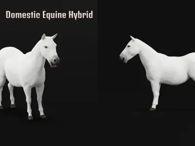 Mule Domestic Equine 3D model