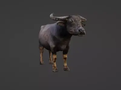 Buffalo Low-poly 3D model purchase