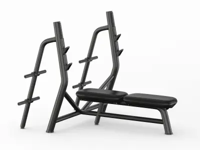 Technogym Element Horizontal Bench 3D model