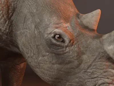 Rhino 3d model rhinoceros Low-poly 3D model buy