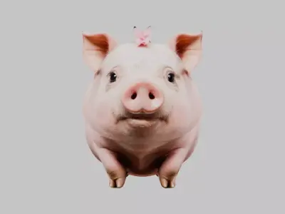 3D Pig Model - Cartoon Animal Character Low-poly 3D model