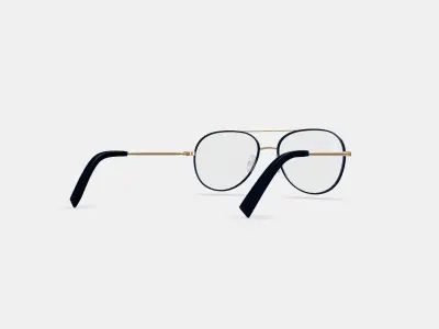York Eyeglasses in Brushed Ink with Polished Gold 3D model