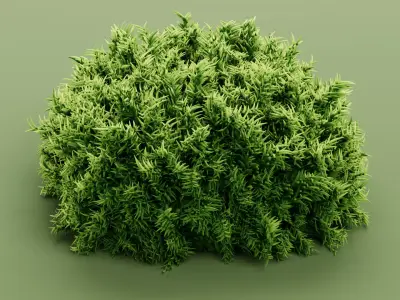 Moss V1 Low-poly 3D model