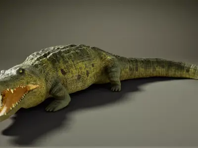 Crocodile Low-poly 3D model