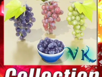 Grapes Collection High Detailed 3D model