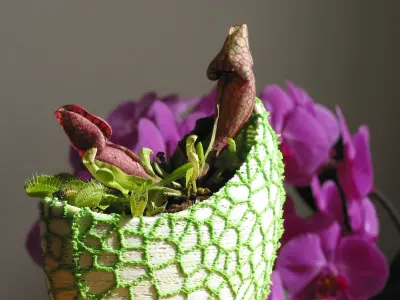Organic 2-color flower pot - Voronoi Vase 3D print model