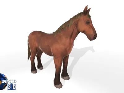 Horse Rigged-Animated Lowpoly 3D Model Collection Pack Low-poly 3D model