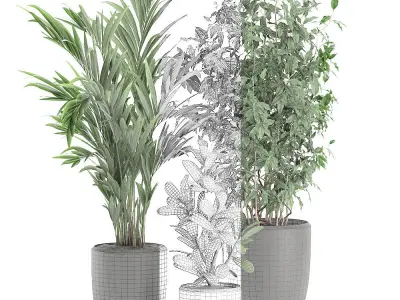 Decorative plants in a white flowerpot 567 3D model