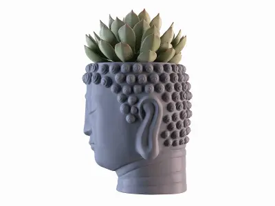 Head Buddha Vase 3D print model