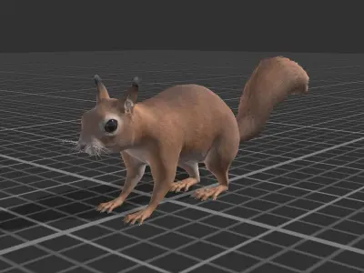 Squirrel Low-poly 3D model shop