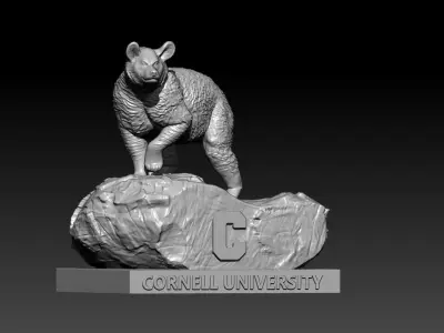 NCAA - Cornell Big Red mascot statue - Cornell University  3D print model