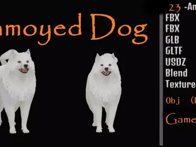 Samoyed Dog Low-poly 3D model