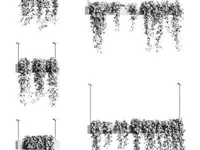 Ivy in hanging flower pots - 5 models 3D model