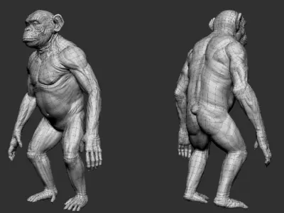 Chimpanzee 3D model buy