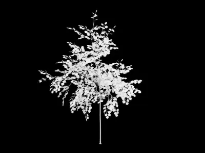 Birch Tree With White Leaves Low-poly 3D model