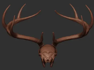 Deer Antler 01 Highpoly 3D model