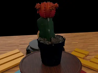 Chinese display stand  with cactus  3D model